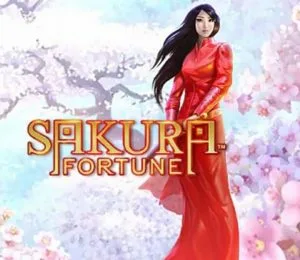 sakura fortune